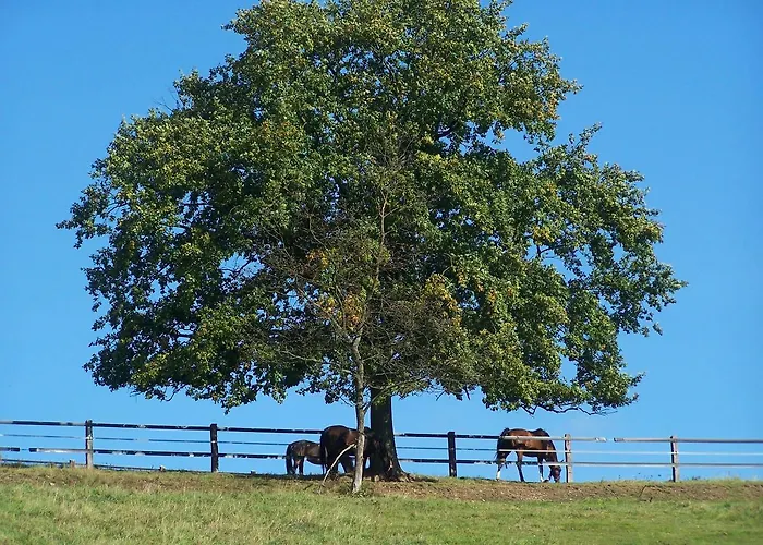 Fewo-tannenhof Appartement Medebach