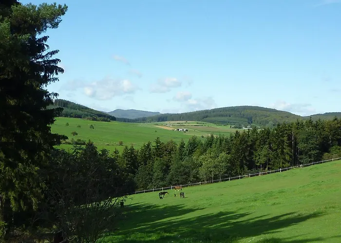 Fewo-tannenhof Appartement Medebach